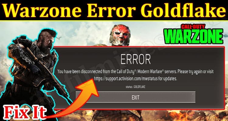 Gaming Tips Warzone Error Goldflake