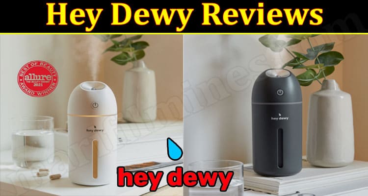Hey Dewy Online Website Reviews