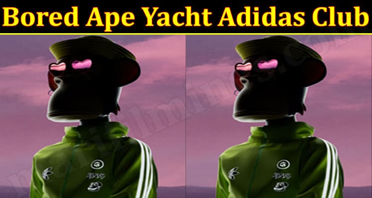 Latest News Bored Ape Yacht Adidas Club