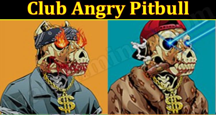 Latest News Club Angry Pitbull