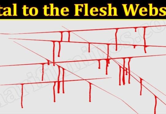 Latest News Fatal to the Flesh Website