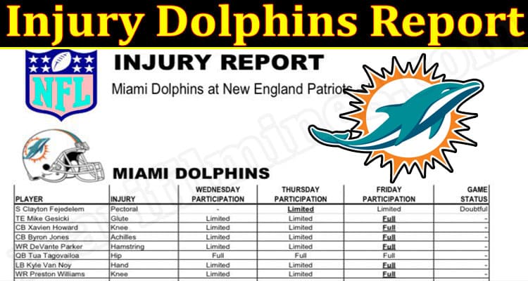 Latest News Injury Dolphins Report