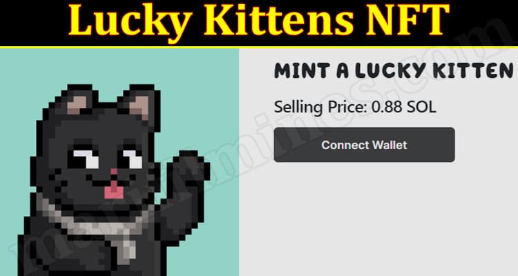 Latest News Lucky Kittens NFT