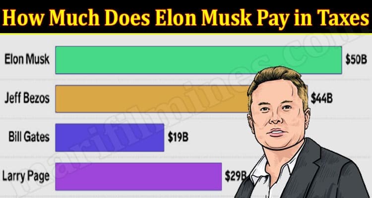 Latest News Much Does Elon Musk Pay in Taxes
