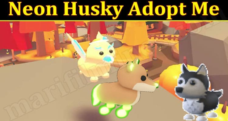 Latest News Neon Husky Adopt Me