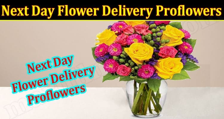Latest News Next Day Flower Delivery Proflowers