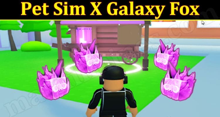 Latest News Pet Sim X Galaxy Fox