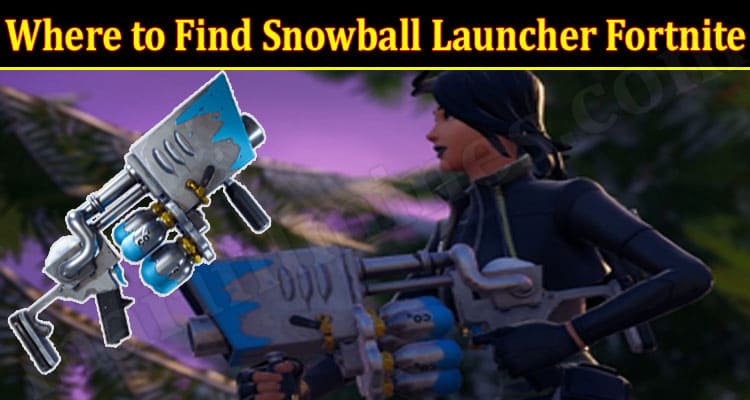 Latest News Snowball Launcher Fortnite