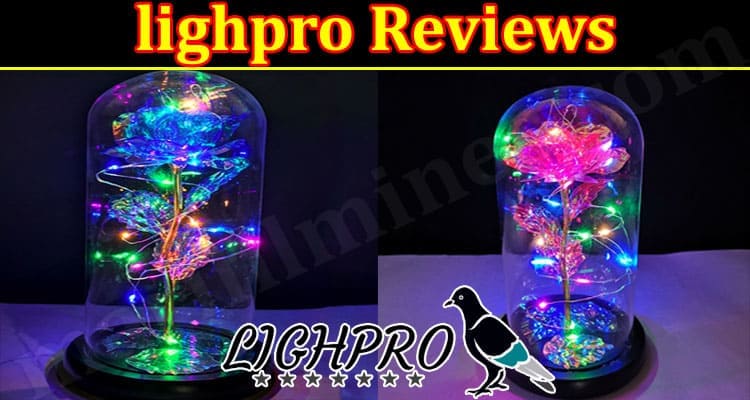 lighpro Online Website Reviews