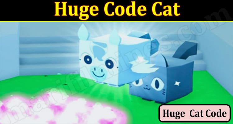 Gaming Tips Huge Code Cat