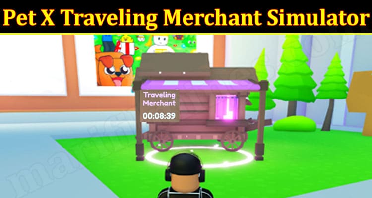 Mystery merchant pet sim x