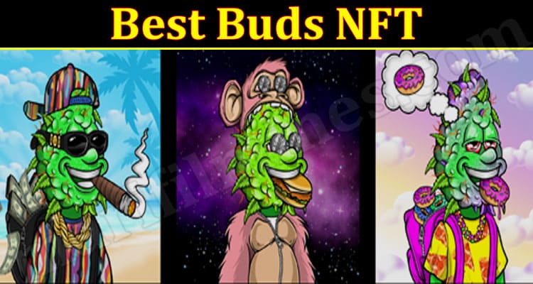 Latest News Best Buds NFT