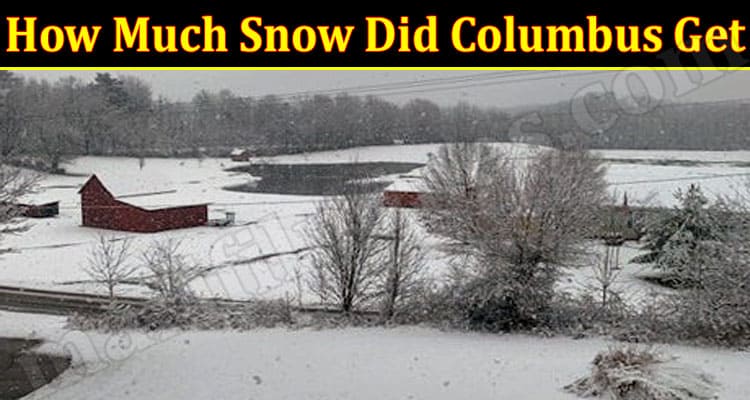 Latest News How Much Snow Did Columbus Get