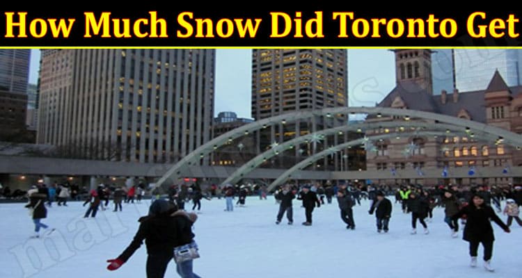 Latest News How Much Snow Did Toronto Get