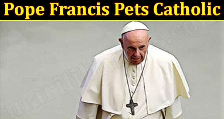 Latest News Pope Francis Pets Catholic