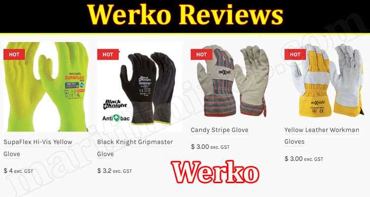 Werko Online Website Reviews