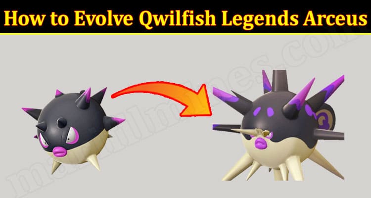 Gaming News How to Evolve Qwilfish Legends Arceus