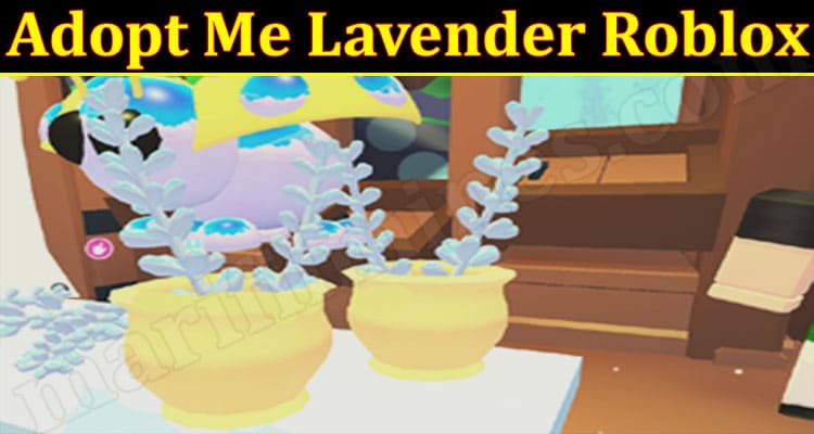 Gaming Tips Adopt Me Lavender Roblox