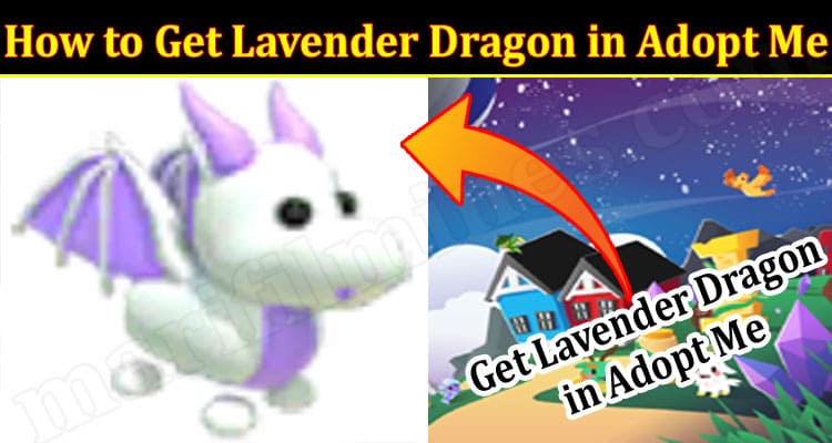 Gaming Tips How to Get Lavender Dragon in Adopt Me