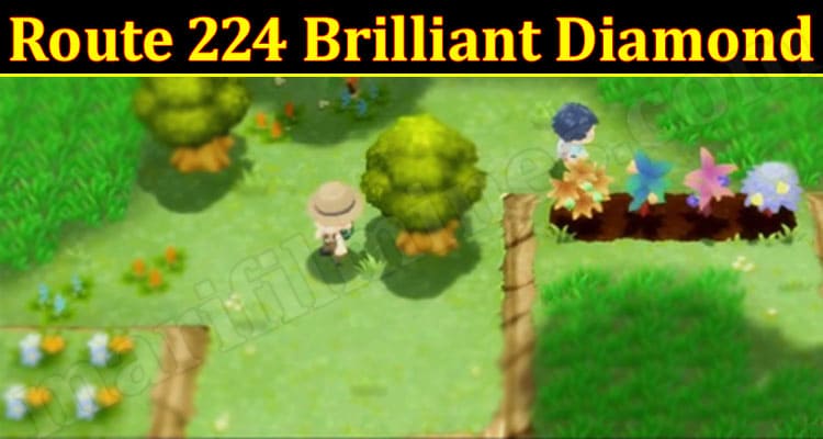 Gaming Tips Route 224 Brilliant Diamond