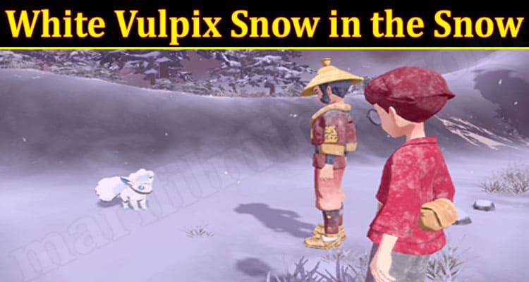 Gaming Tips White Vulpix Snow in the Snow