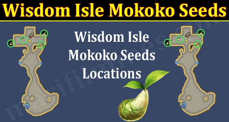 Gaming Tips Wisdom Isle Mokoko Seeds