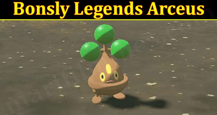 Latest News Bonsly Legends Arceus