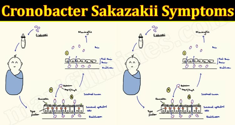Latest News Cronobacter Sakazakii Symptoms