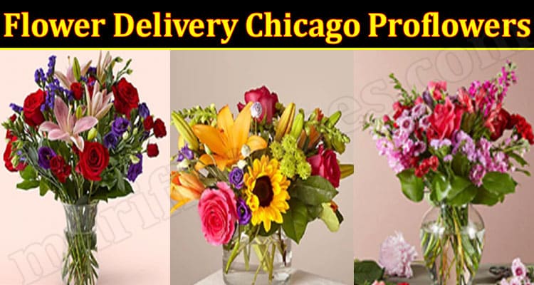 Latest News Flower Delivery Chicago Proflowers