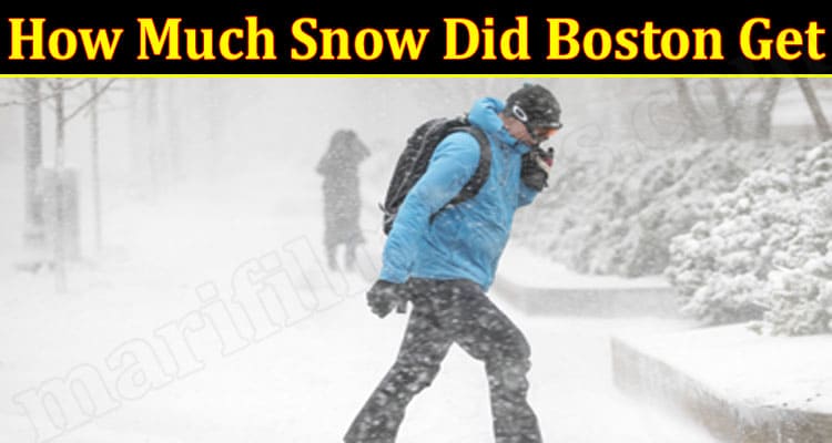 Latest News How Much Snow Did Boston Get