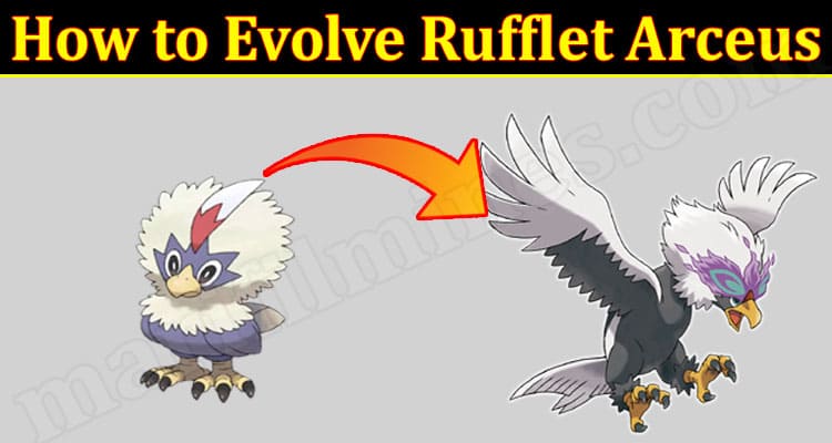 Latest News How to Evolve Rufflet Arceus