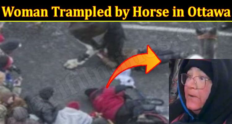 Latest News Woman Trampled by Horse in Ottawa