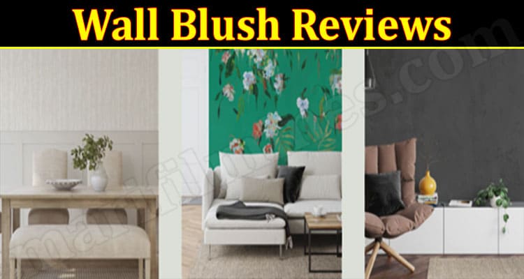 Wall Blush Online Website Reviews
