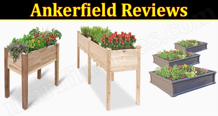 Ankerfield Online Website Reviews