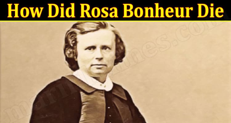 Gaming Tips How Did Rosa Bonheur Die