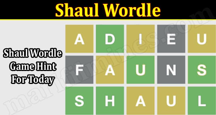 Gaming Tips Shaul Wordle