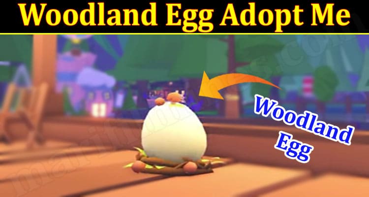 Gaming Tips Woodland Egg Adopt Me