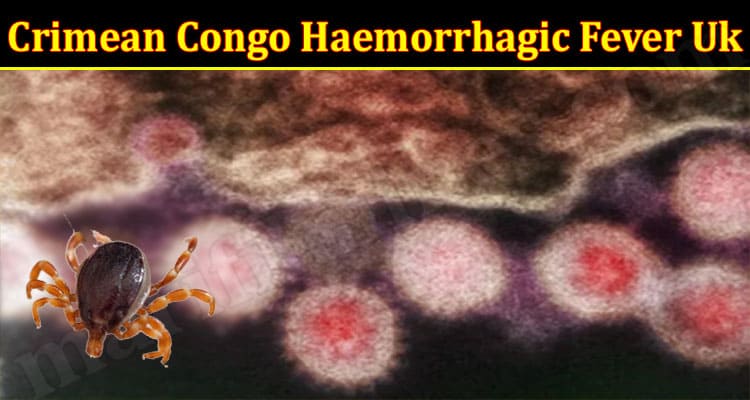 Latest News Crimean Congo Haemorrhagic Fever Uk