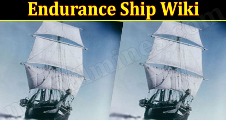 Latest News Endurance Ship Wiki