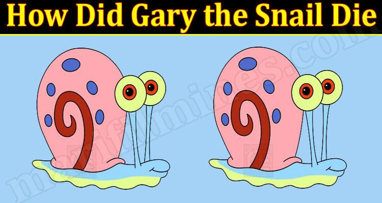 Latest News How Did Gary the Snail Die