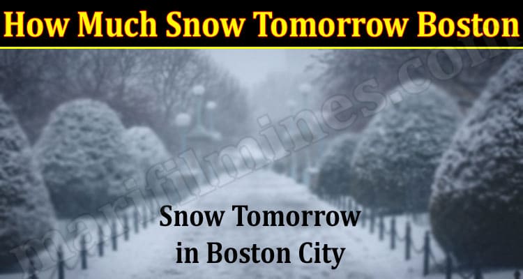 Latest News How Much Snow Tomorrow Boston