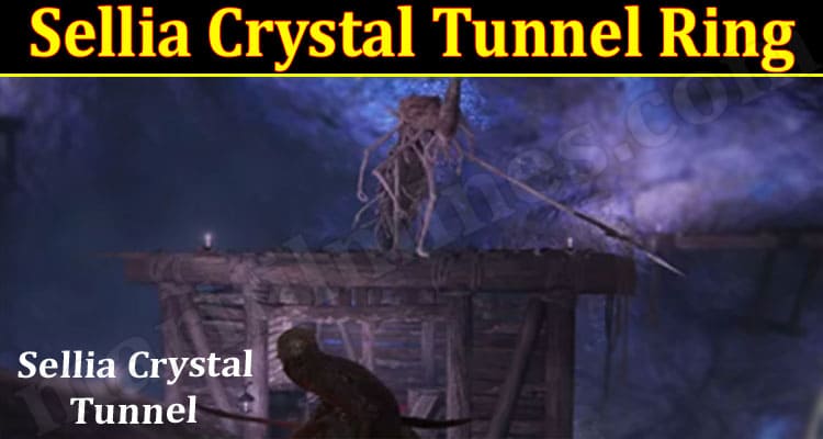 Latest News Sellia Crystal Tunnel Ring