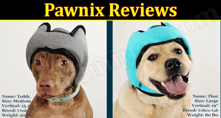 Pawnix Online Website Reviews