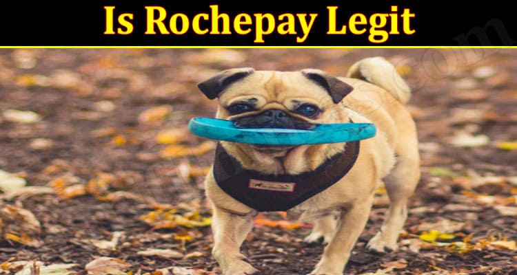 Rochepay Online Website Reviews
