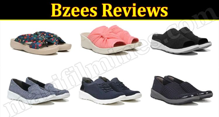 Bzees Online Website Reviews
