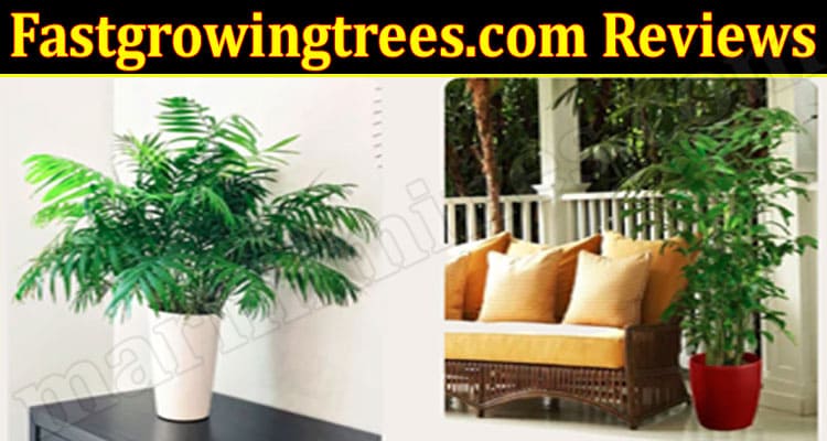 Fastgrowingtrees.com Online Website Reviews