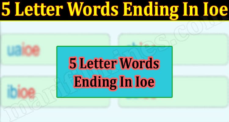 Ending with e words 5 letter 5 Letter