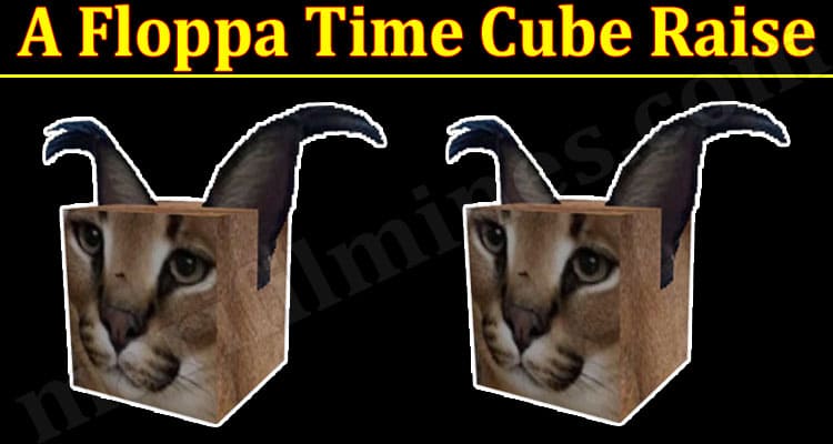 Gaming Tips A Floppa Time Cube Raise
