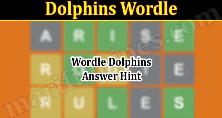 Gaming Tips Dolphins Wordle