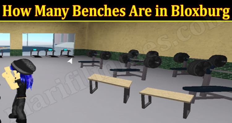 Gaming Tips How Many Benches Are in Bloxburg